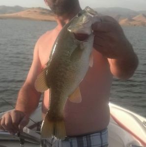 Meet your Posher, Brook